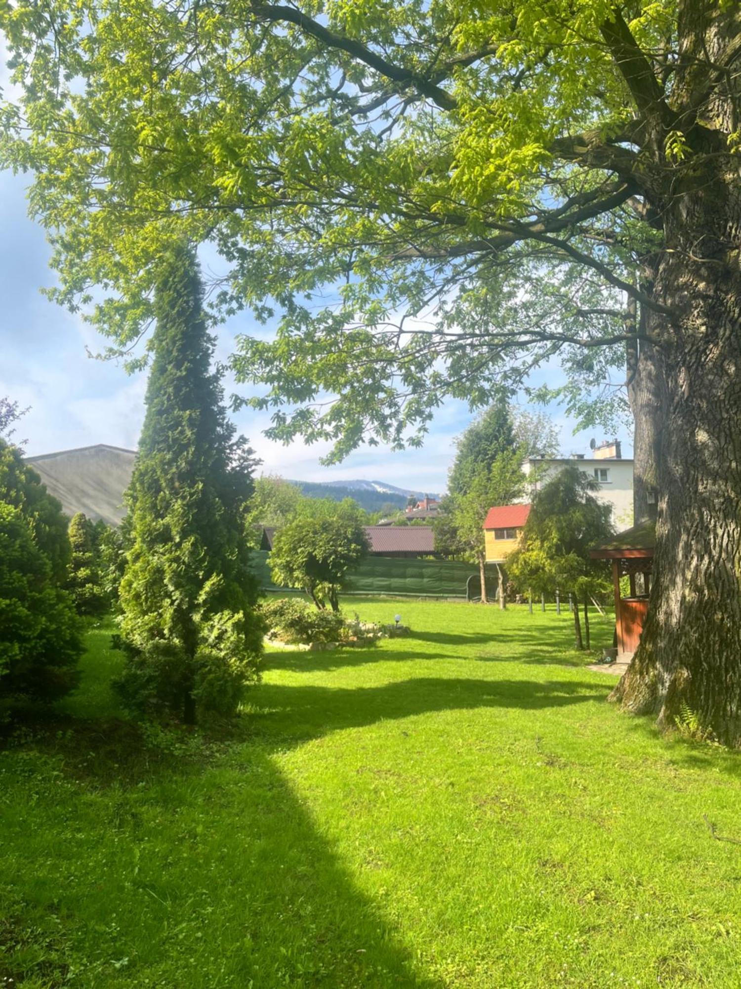 Meta Pod Debem Bielsko-Biala